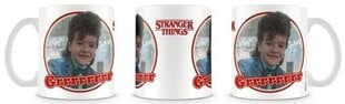 Stranger Things, 315 ml kaina ir informacija | Žaidėjų atributika | pigu.lt
