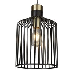 Searchlight Подвесной светильник Bird Cage 9413BK цена и информация | Люстры | pigu.lt