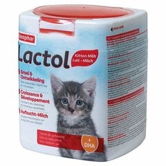 Pieno pakaitalas kačiukams Beaphar Lactol, 500 g kaina ir informacija | Vitaminai, papildai, antiparazitinės priemonės katėms | pigu.lt