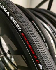 Dviračio padanga Vittoria Corsa Speed TLR Fold 700x25c, 28", juoda цена и информация | Покрышки, шины для велосипеда | pigu.lt