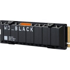 SanDisk WDBB9H0020BNC-WRSN цена и информация | Внутренние жёсткие диски (HDD, SSD, Hybrid) | pigu.lt