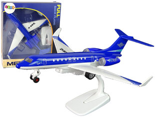 Lėktuvas G-650 Lean Toys kaina ir informacija | Žaislai berniukams | pigu.lt
