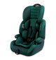 Egis automobilinė kėdutė, 9-36 kg, dark green цена и информация | Autokėdutės | pigu.lt