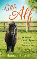 Little Alf: The true story of a pint-sized pony who found his forever home kaina ir informacija | Knygos apie sveiką gyvenseną ir mitybą | pigu.lt