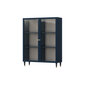 Vitrininė spintelė Includo, 120x40x155 cm, mėlyna kaina ir informacija | Vitrinos, indaujos | pigu.lt