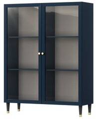 Шкаф-витрина  Includo, 120x40x155 см, синий цвет цена и информация | Витрины, серванты | pigu.lt