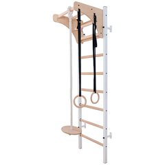 BenchK 221W деревянно-металлическая гимнастическая лестница с перекладиной цена и информация | Шведские стенки | pigu.lt