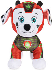 Pliušinis talismanas Paw Patrol Marshall Aqua Pups 18 cm kaina ir informacija | Minkšti (pliušiniai) žaislai | pigu.lt