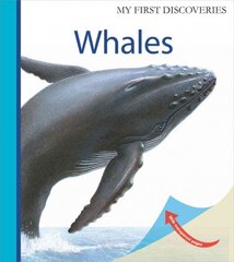 Whales цена и информация | Книги для подростков  | pigu.lt