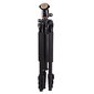 Fotoaparato stovas Hama Tripod Traveler 117 ball, juodas цена и информация | Fotoaparato stovai | pigu.lt