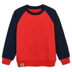Свитер Cool Club для мальчика Marvel LCB2711460, красный цвет цена и информация | Свитеры, жилетки, пиджаки для мальчиков | pigu.lt