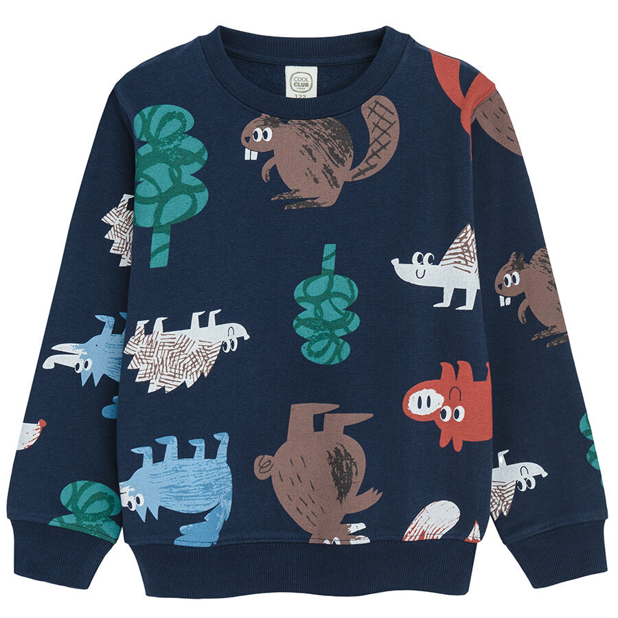 Cool Club megztinis berniukams CCB2711351 цена и информация | Megztiniai, bluzonai, švarkai berniukams | pigu.lt