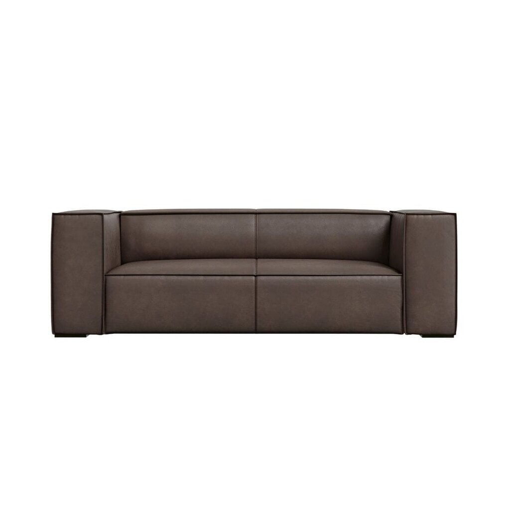 Dvivietė odinė sofa Agawa, 211x100x68, rudos spalvos kaina ir informacija | Sofos | pigu.lt