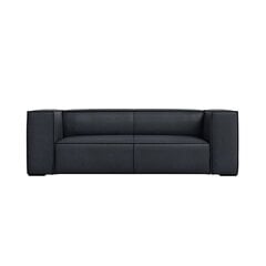 Dvivietė odinė sofa Agawa, 211x100x68, mėlyna kaina ir informacija | Sofos | pigu.lt