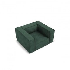 Кресло Agawa, 113x95x68 см, зеленое цена и информация | Кресла в гостиную | pigu.lt