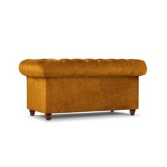 Двухместный диван Lapis, 170x90x80, желтый цена и информация | Диваны | pigu.lt