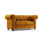 Dvivietė sofa Lapis, 170x90x80, geltona kaina ir informacija | Sofos | pigu.lt