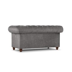 Двухместный диван Lapis, 170x90x80, серый цена и информация | Диваны | pigu.lt