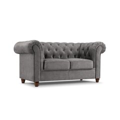 Dvivietė sofa Lapis, 170x90x80, pilka kaina ir informacija | Sofos | pigu.lt
