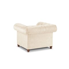 Кресло Lapis, 114x90x80 см, бежевое цена и информация | Кресла в гостиную | pigu.lt