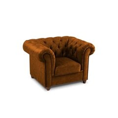 Кресло Lapis, 114x90x80 см, коричневое цена и информация | Кресла в гостиную | pigu.lt