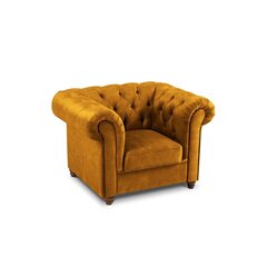 Fotelis Lapis, 114x90x80 cm, geltonas kaina ir informacija | Svetainės foteliai | pigu.lt
