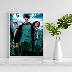 Tapyba pagal skaičius Harry Potter Oh Art!, 40x50 cm kaina ir informacija | Tapyba pagal skaičius | pigu.lt