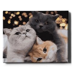 Картина по номерам На Раме "Три котенка" Oh Art! 40x50 см цена и информация | Набор для рисования по номерам | pigu.lt