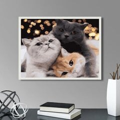 Картина по номерам На Раме "Три котенка" Oh Art! 40x50 см цена и информация | Набор для рисования по номерам | pigu.lt