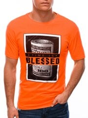 футболка с принтом s1601 - оранжевая цена и информация | Футболка мужская | pigu.lt
