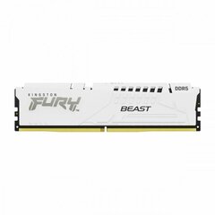 Kingston Fury Beast KF560C36BWE-16 kaina ir informacija | Operatyvioji atmintis (RAM) | pigu.lt