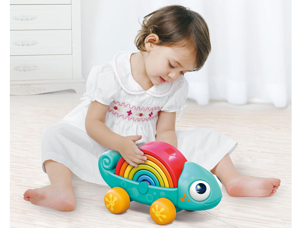 Montessori dėlionė Chameleonas kaina ir informacija | Lavinamieji žaislai | pigu.lt