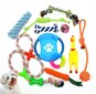 Šunų žaislų rinkinys BestHurt, 12 d. цена и информация | Žaislai šunims | pigu.lt