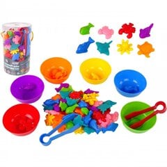 WOOPIE Обучающая игра для сортировки цветов 65 шт, море цена и информация | Развивающие игрушки | pigu.lt