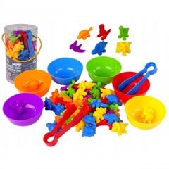WOOPIE Обучающая игра для сортировки цветов 56 шт, динозавры цена и информация | Развивающие игрушки | pigu.lt