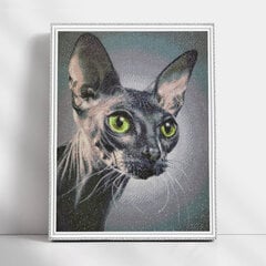 Deimantinė mozaika su rėmeliu TM Varvikas Sphynx Cat LMC034e 50x65 cm kaina ir informacija | Deimantinės mozaikos | pigu.lt