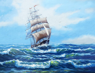 Deimantinė mozaika su rėmeliu TM Varvikas Ship with White Sails LMC285e 50x65 cm kaina ir informacija | Deimantinės mozaikos | pigu.lt