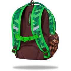 Школьный рюкзак CoolPack CITY JUNGLE 21L цена и информация | Школьные рюкзаки, спортивные сумки | pigu.lt