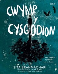 Darllen yn Well: Cwymp y Cysgodion kaina ir informacija | Knygos paaugliams ir jaunimui | pigu.lt