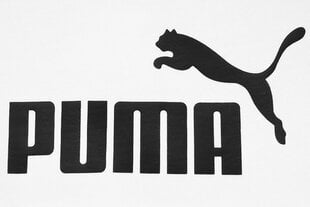 Megztinis mergaitėms PUMA ESS Block Hoodie FL B 849081 01, juodas kaina ir informacija | Megztiniai, bluzonai, švarkai mergaitėms | pigu.lt