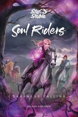 Soul Riders: Darkness Falling цена и информация | Книги для подростков и молодежи | pigu.lt