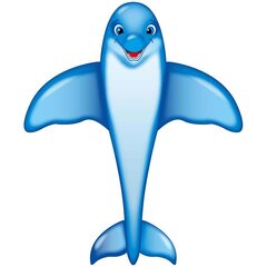 Aitvaras Dolphin Kite, 202x175cm цена и информация | Воздушные змеи и аксессуары | pigu.lt