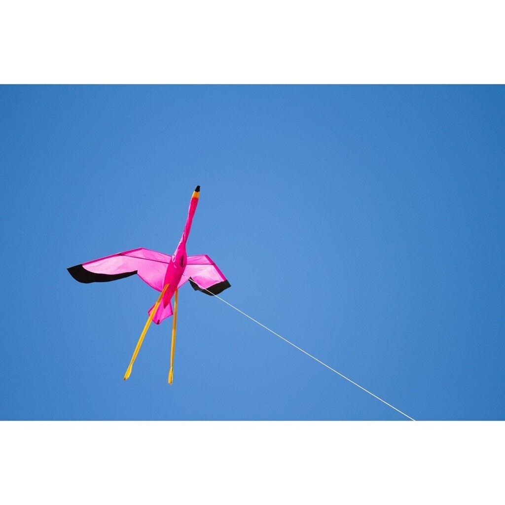 Aitvaras Single Line Kite By Joel Scholz, 100x135cm kaina ir informacija | Aitvarai ir jų priedai | pigu.lt