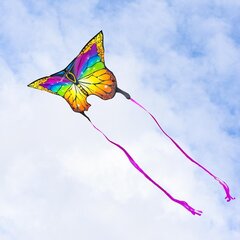 Aitvaras Butterfly Kite Rainbow, 25cm цена и информация | Воздушные змеи и аксессуары | pigu.lt