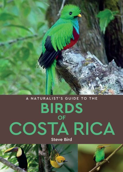 Naturalist's Guide to the Birds of Costa Rica (2nd edition) 2nd Revised edition kaina ir informacija | Knygos apie sveiką gyvenseną ir mitybą | pigu.lt