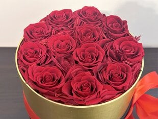 Stabilizuotų rožių dežutė kaina ir informacija | Miegančios rožės, stabilizuoti augalai | pigu.lt