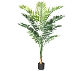 Dirbtinė palmė, 170 cm цена и информация | Искусственные цветы | pigu.lt
