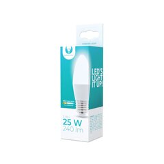 LED Bulb E27 C37 3W 230V 3000K 240lm Forever Light цена и информация | Электрические лампы | pigu.lt