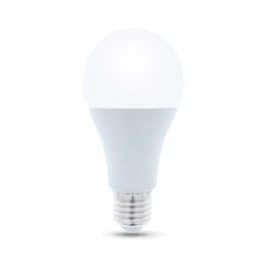 LED bulb E27 A65 15W 230V 6000K 1470lm Forever Light цена и информация | Электрические лампы | pigu.lt