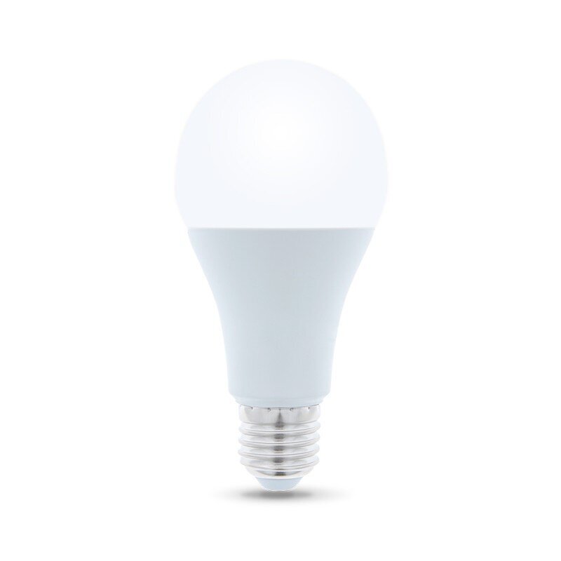 Forever Light led lemputė E27 A65 15W 230V 5900495839954 kaina ir informacija | Elektros lemputės | pigu.lt